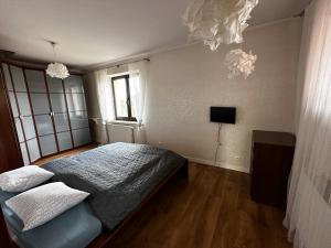 a bedroom with a bed and a television and a window at Apartament Airport Gdańsk in Firoga