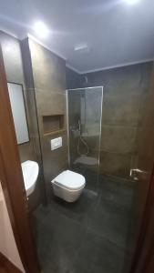 W łazience znajduje się toaleta i przeszklony prysznic. w obiekcie Vladimir Estate Hotel w Gjirokastrze