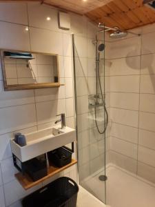 een badkamer met een wastafel en een douche bij B&B Paardenhof in Wapenveld