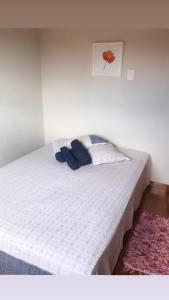 a white bed with two blue pillows on it at Chalé Primavera - Eubiose in São Thomé das Letras