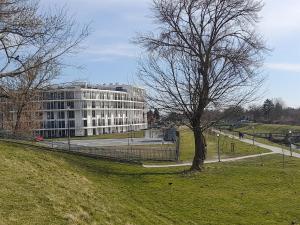 un árbol en un campo al lado de un edificio en Apartament Amelia en Zamość