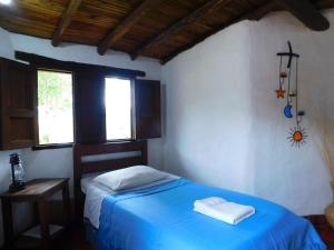 Colinas de Barichara في باريكارا: غرفة نوم بسرير ازرق ونافذة