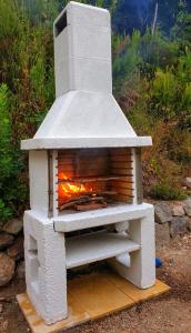 un horno de piedra con un fuego dentro de él en La Casetta nel Bosco, en Isquia