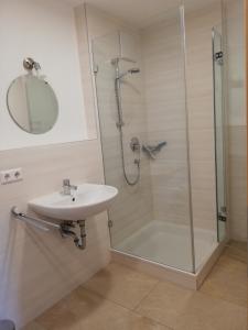 une salle de bains avec douche, lavabo et miroir dans l'établissement Ferienwohnungen Weishaupt Pfingstweider Straße 30, à Meckenbeuren
