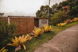 a row of plants in front of a building at Pousada Colina Verde in Garopaba