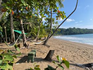 a hammock on a beach with trees and the ocean at Cabaña en el Rincon Corcovado in Drake