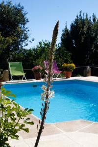 una piscina con 2 sillas de jardín junto a ella en Apartamentos La Solana de Monfragüe, en Malpartida de Plasencia