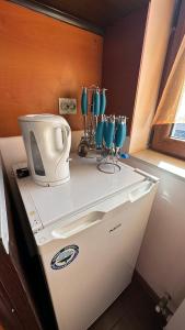 a white appliance sitting on top of a refrigerator at Valevitsata Guesthouse in Razlog