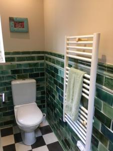 a bathroom with a toilet and green tiles at Farmhouse Gite in Saint-Georges