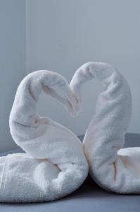 two white swans making a heart shape at Bluegonia in Éxo Goniá
