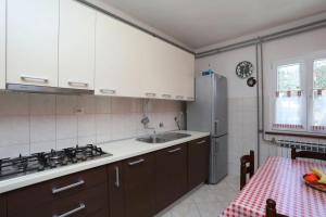 Kuchyň nebo kuchyňský kout v ubytování Apartment Rozman