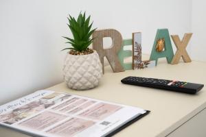 a desk with a plant in a vase and a remote control at AppartCosy-StQuentin in Saint-Quentin