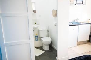 聖康坦的住宿－AppartCosy-StQuentin，一间带卫生间和水槽的浴室