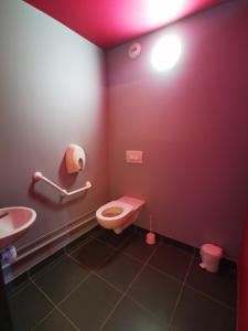 La salle de bains est pourvue de toilettes roses et d'un lavabo. dans l'établissement Auberge de Jeunesse de Morlaix, à Morlaix