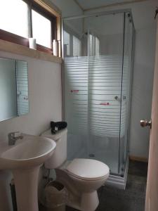a bathroom with a toilet and a glass shower at Vistaranco Costanera in Lago Ranco