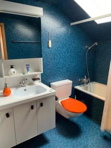 a blue bathroom with a toilet and a sink at Cozy apartment in center Lenk in Lenk