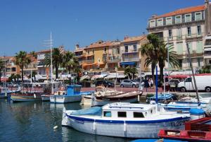 Φυσικό τοπίο κοντά σε αυτό το διαμέρισμα