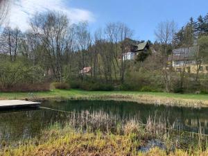 a lake with a dock and a house in the background at Waldferienhaus Dunja mit Whirlpool, Sauna u Garten in Hain