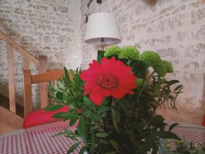 a red flower in a vase on a table with a lamp at o le zen in Saint-Juire-Champgillon