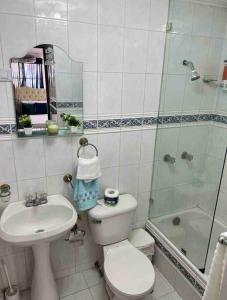 ein Badezimmer mit Toilette, Waschbecken und Dusche in der Unterkunft Malecon View, Zona Colonial in Santo Domingo + 13 Fotos