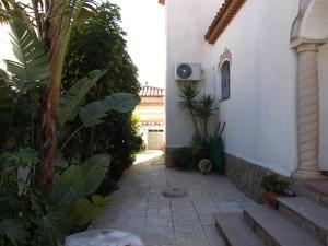 A garden outside Casa Ricarda