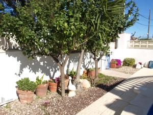 A garden outside Casa Ricarda