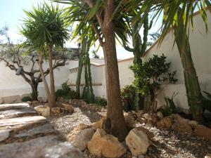 A garden outside Casa Ricarda
