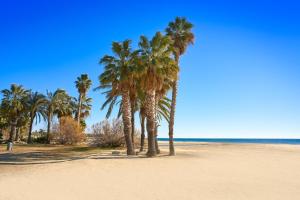un grupo de palmeras en una playa de arena en Casa Chamizo en Cambrils