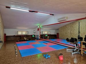 een kamer met een fitnessruimte met worstelmatten bij openspace 96 in Nuxis