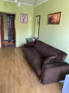 un divano marrone in un soggiorno con pareti verdi di Готель Корнет a Umanʼ