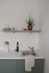 a kitchen sink with a plant on a shelf at Agriturismo Colle Igino in Matera +65 photos