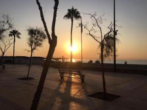 eine Parkbank vor dem Meer bei Sonnenuntergang in der Unterkunft Apartamentos La Casa de Bebita in Fuengirola