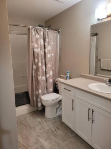 a bathroom with a toilet and a shower and a sink at Lakeview in Peachland