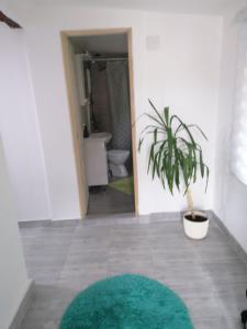 a bathroom with a green rug and a plant at Konak Jerma in Pirot