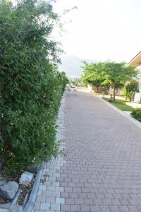 Gallery image of Βίλα Εύη in Ligourio
