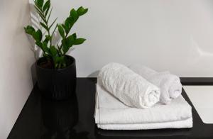 a stack of towels on a table with a plant at Apartament Aleja Wolności in Nowy Sącz