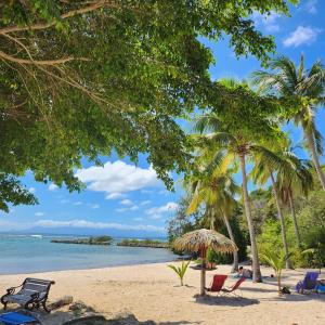 uma praia com cadeiras e palmeiras e o oceano em Anse des rochers - Ti Kaz MiLouMa em Saint-François