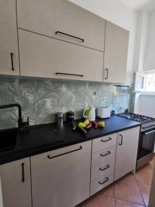 Kuchyň nebo kuchyňský kout v ubytování Apartmani Meri