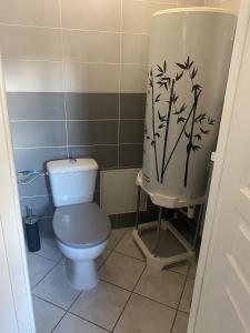 a bathroom with a toilet and a shower curtain at Gîte 8 personnes in Sainte-Croix-du-Mont +8 photos