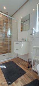 a bathroom with a shower and a sink and a mirror at Domki Wichrowe Wzgórze Bieszczady in Bukowiec