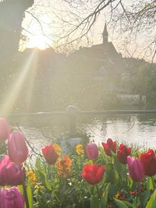 a bunch of flowers in front of a body of water at Le Gite de la Poterne, maison en bordure du Serein in Chablis