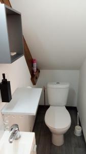 a bathroom with a white toilet and a sink at Le Relais de Jeanne in Orbigny
