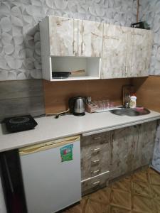 a small kitchen with a sink and a refrigerator at V Ulyanu in Yaremche