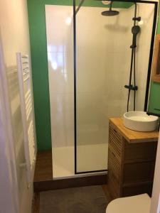 a bathroom with a glass shower and a sink at Appart au cœur de la ville (vue montagne) in Cauterets