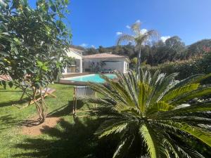 una villa con piscina e palme di Magnifique villa récente entre mer et montagne située entre Ajaccio et Porticcio a Cauro