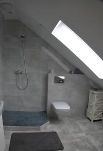 łazienka z prysznicem, toaletą i umywalką w obiekcie Willa Vita - Apartment z kominkiem i dużym tarasem, Sauna, Jacuzzi, Altana z Grill, z możliwością wynajmu dotakowych pokoi - Schönes Appartement mit Kamin und großer Terrasse, Sauna, Jacuzzi, Pavilion mit Grill und der Option zusätzliche Zimmer zu mieten w Stegnie