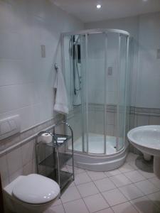 W łazience znajduje się prysznic, toaleta i umywalka. w obiekcie Hostel Miłosz w mieście Grabowiec