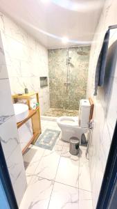 a bathroom with a toilet and a shower at 3 bedrooms appartement with sea view balcony and wifi at Trou aux Biches 1 km away from the slopes in Trou aux Biches