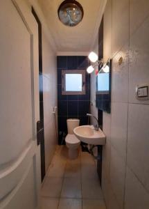 La petite salle de bains est pourvue de toilettes et d'un lavabo. dans l'établissement الاسكندرية, à Alexandrie
