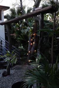 a garden with a pathway with lights and plants at kaabna spa in Villahermosa